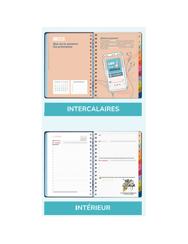 Agenda Journalier 2027 Full aesthetic 2