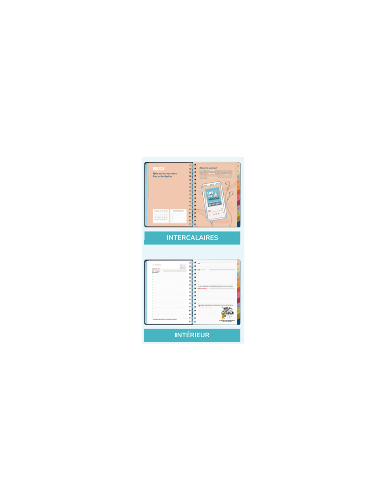 Agenda Journalier 2027 Full aesthetic