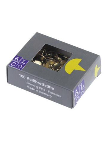 PUNAISES OVERTR.METAAL/100