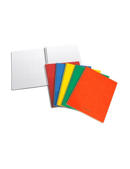 CARNET SPIRALÉ 120PAGES Q5X5