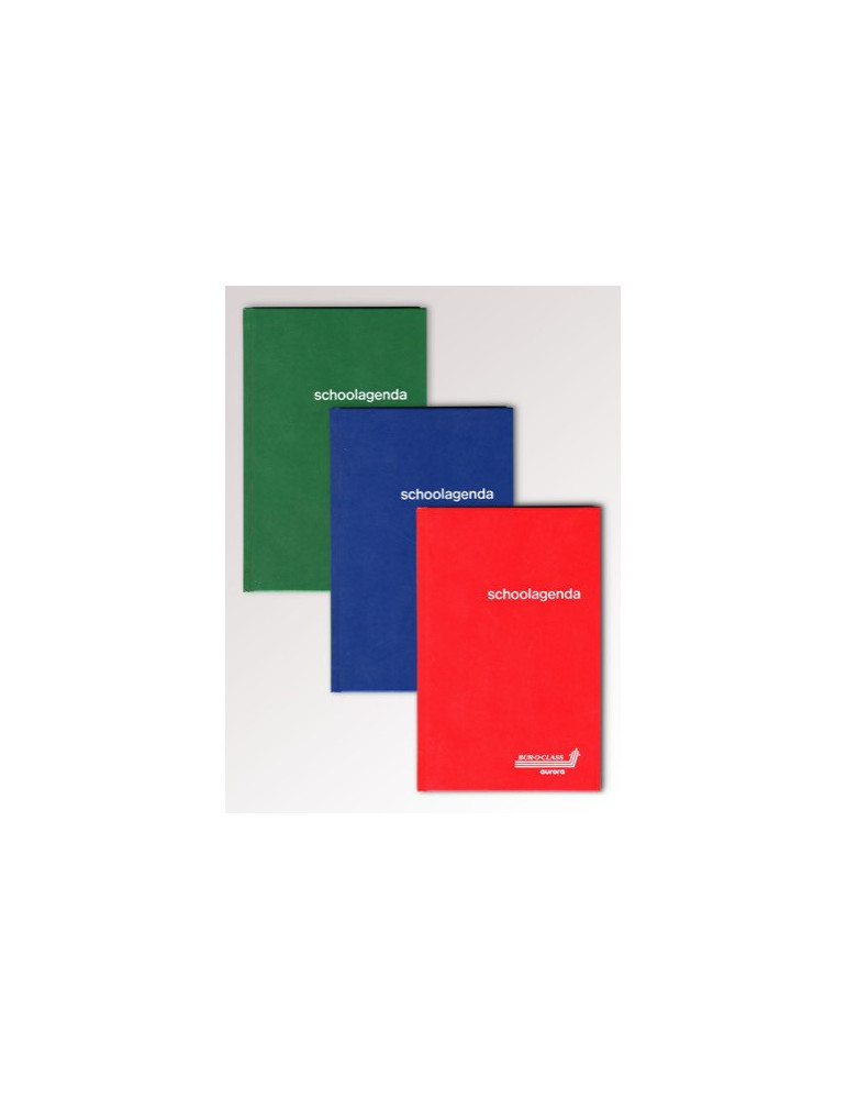 JOURNAUX DE CLASSE, papier sans bois, encollé, Néerlandais - seconadai