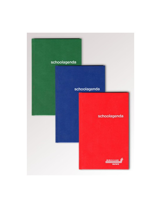 JOURNAUX DE CLASSE, papier sans bois, encollé, Néerlandais - seconadai