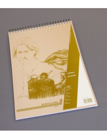 BLOC ESQUISSE 100FLLS A3