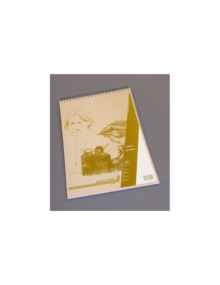 BLOC ESQUISSE 100FLLS A3