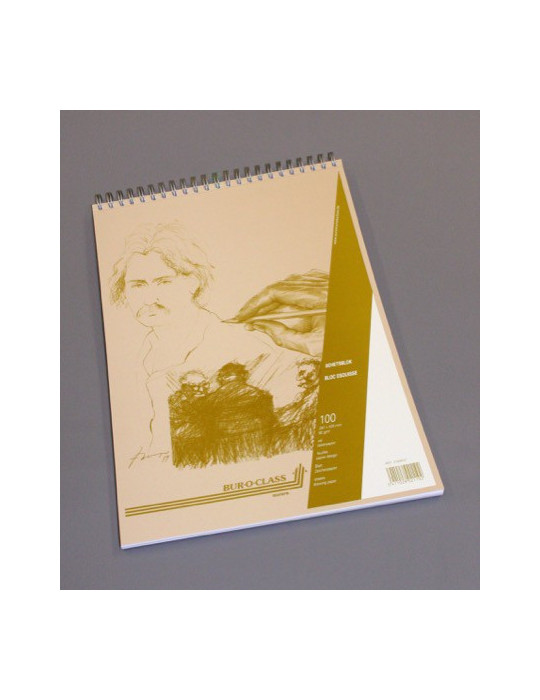 BLOC ESQUISSE 100FLLS A3