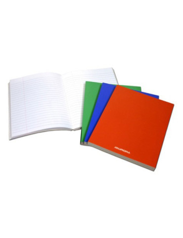 CAHIER 240PAGES LIGNÉ+M