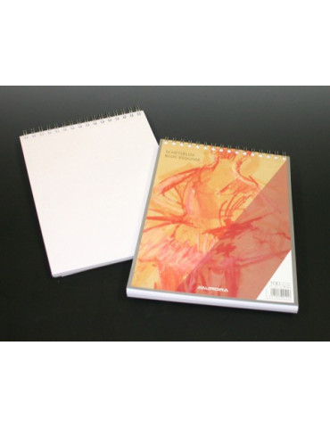 BLOC ESQUISSE 100FLLS A4