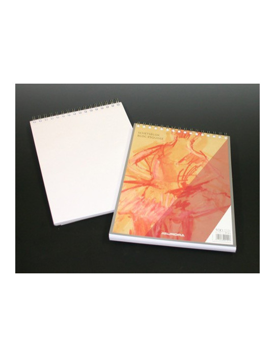 BLOC ESQUISSE 100FLLS A4