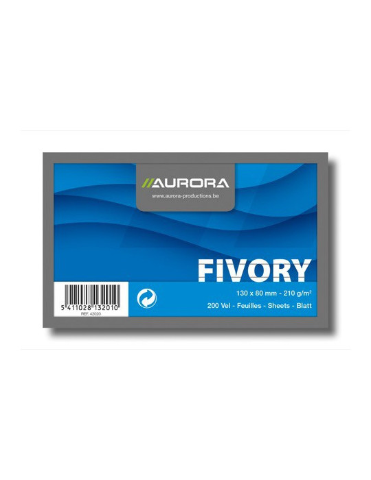 FICHES 80X130 BLANC LIGNÉ 210G/M²