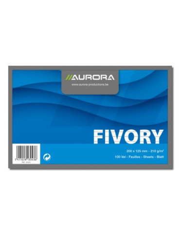 FICHES 125X200 BLANC LIGNÉ 210G/M²