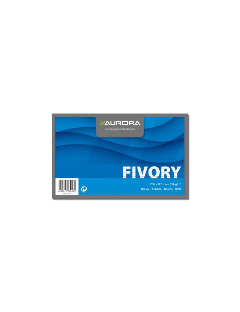 FICHES 125X200 BLANC LIGNÉ 210G/M²