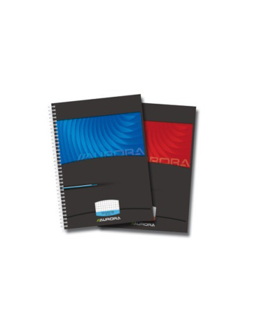 CAHIER A4 REL.INTÉGR.50FLLS Q5X5+M