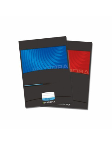 CAHIER RAPPORT CARTONNÉ 192P LIGNÉ