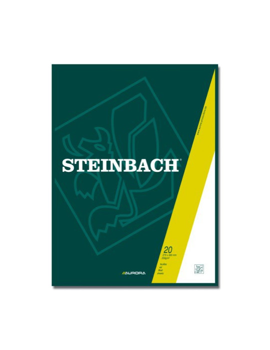 BLOC DESSIN STEINBACH 250G/M²27X36