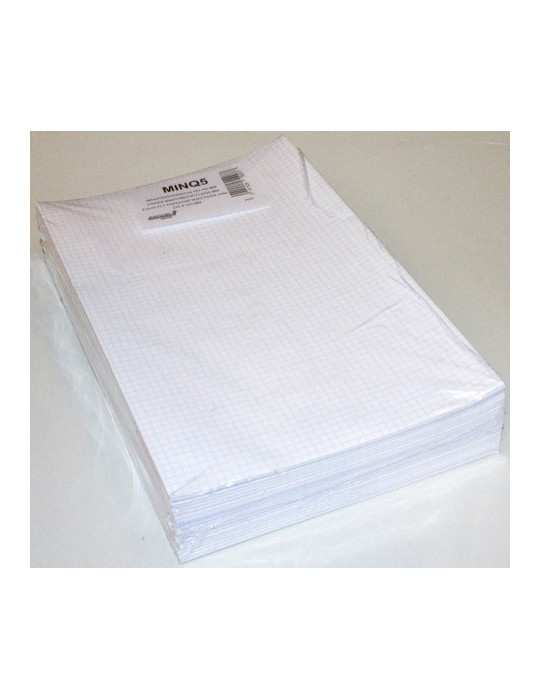 PAPIER MINISTRE 21X33 960P Q5X5