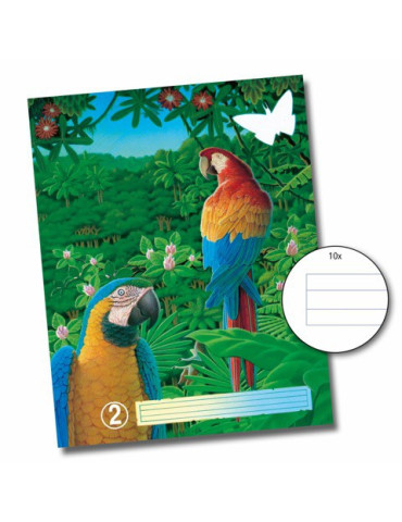 CAHIER RECYCL NR2 36FLS 10PORTÉES