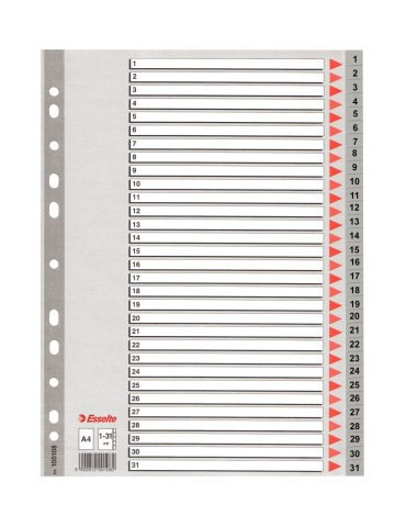 Esselte Standard répertoire PP A4 1-31 gris