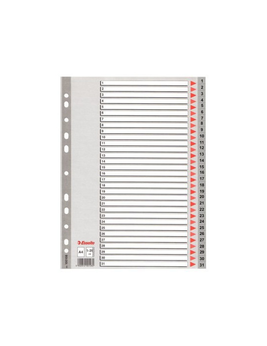 Esselte Standard répertoire PP A4 1-31 gris