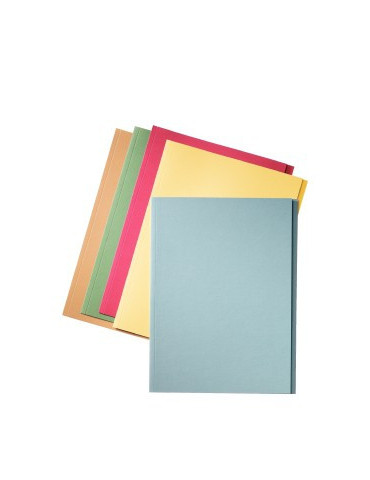 Esselte pochette d'insertion manille  avec onglet latéral 275gr folio