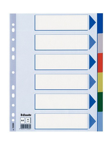 Esselte Standard intercalaire PP A4 6onglets multicolore