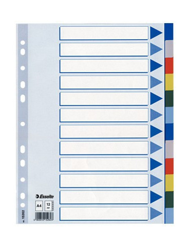 Esselte Standard intercalaire PP A4 12onglets multicolore