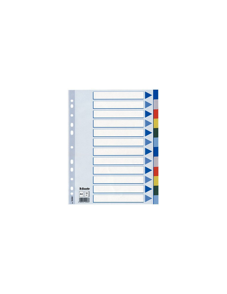 Esselte Standard intercalaire PP A4 12onglets multicolore
