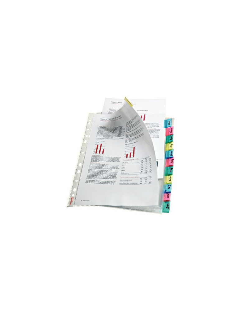 Esselte Premium pochette-Intercalaire PP A4 (12)
