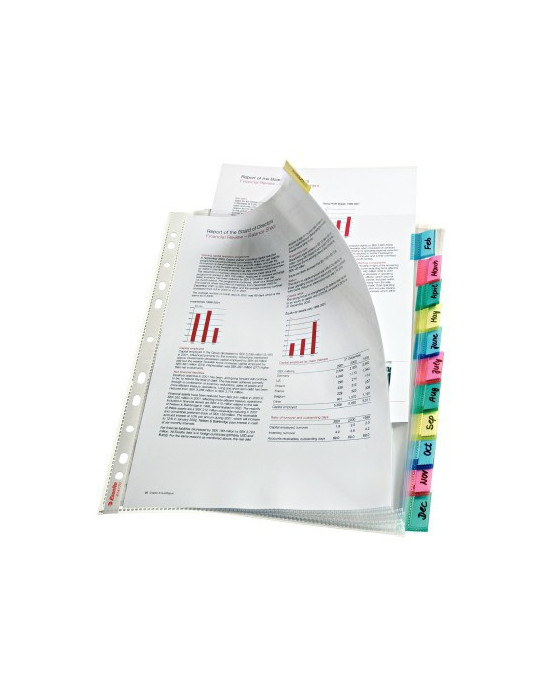 Esselte Premium pochette-Intercalaire PP A4 (12)