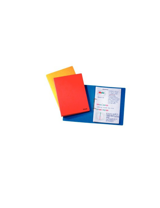 Esselte Rainbow classeur à anneaux 2R 16mm carton A4 bleu