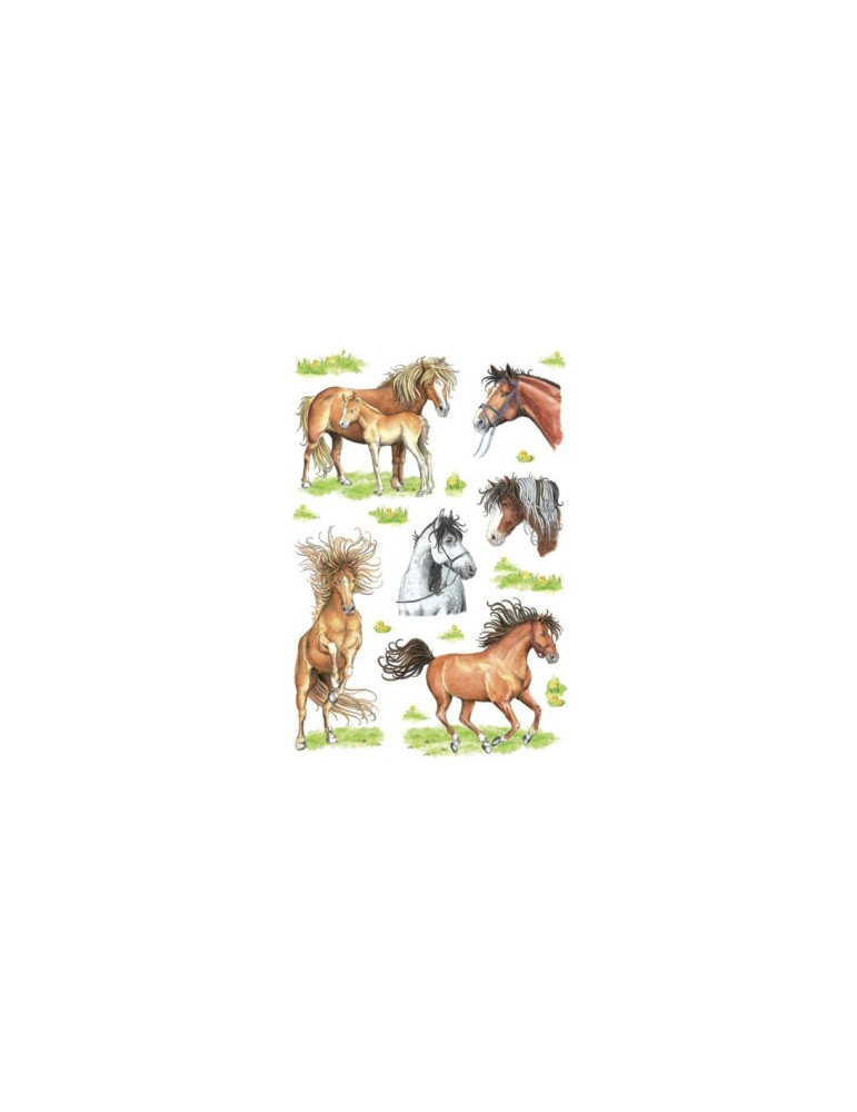 DECOR CHEVAUX DESSINÉS