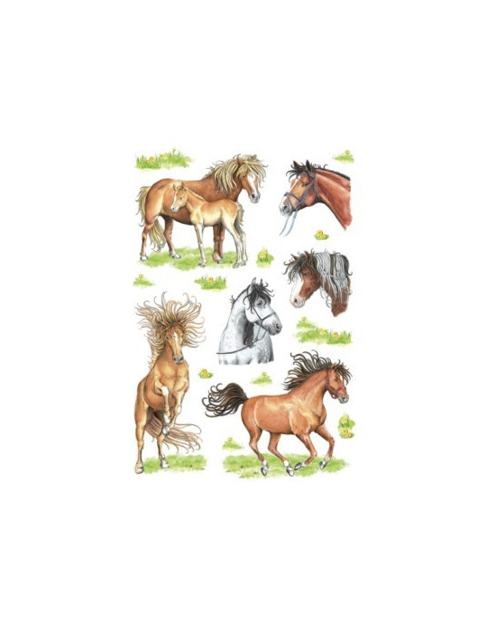 DECOR CHEVAUX DESSINÉS