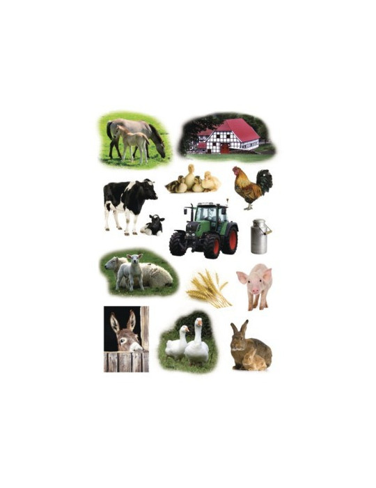 DECOR PHOTOS ANIMAUX DE LA FERME