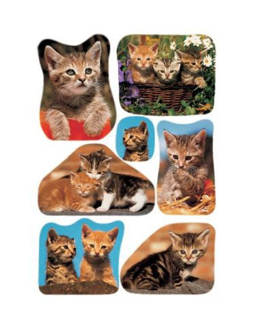 DECOR PHOTOS DE CHATONS