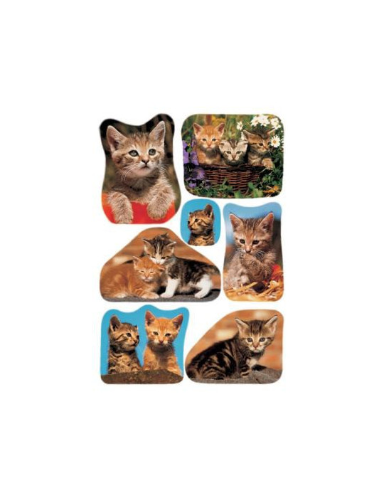 DECOR PHOTOS DE CHATONS