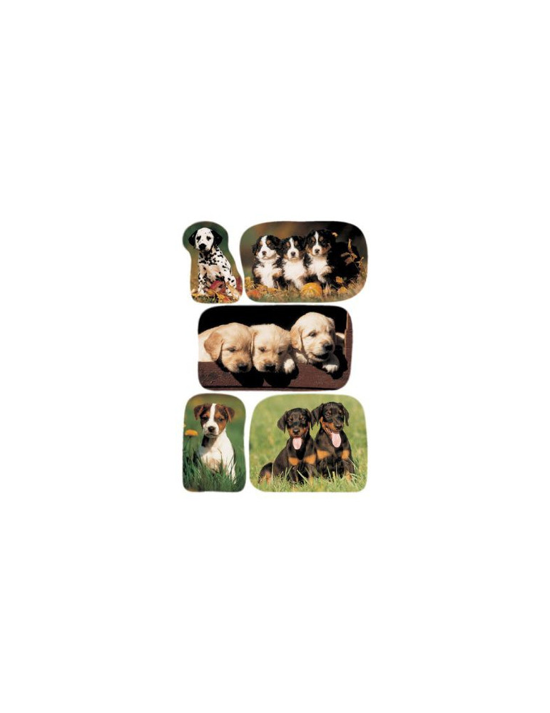 DECOR PHOTOS DE CHIOTS