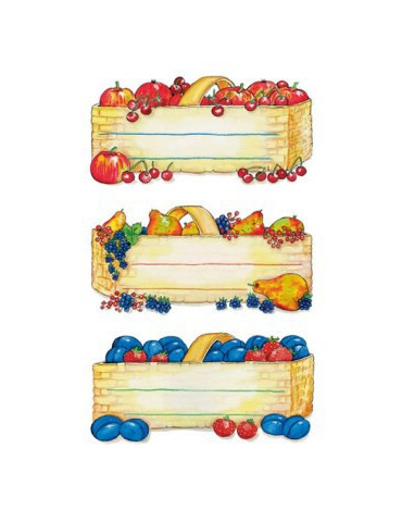 VARIO PANIERS DE FRUITS