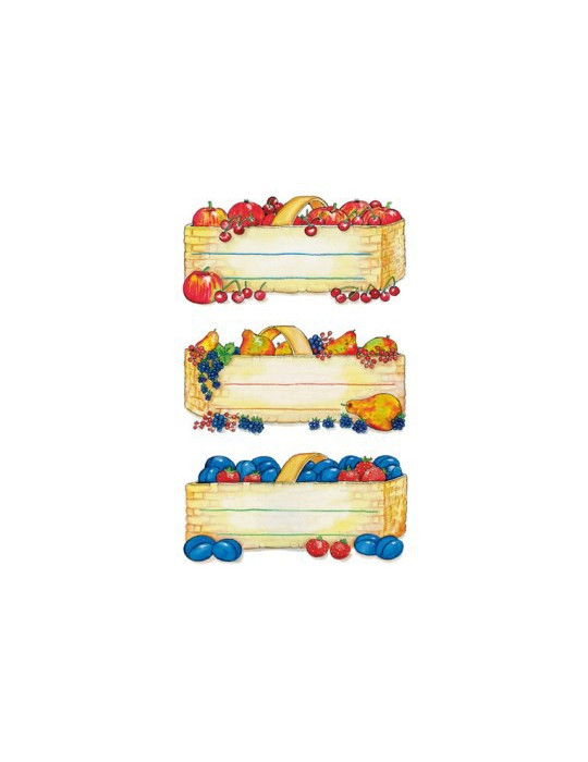 VARIO PANIERS DE FRUITS