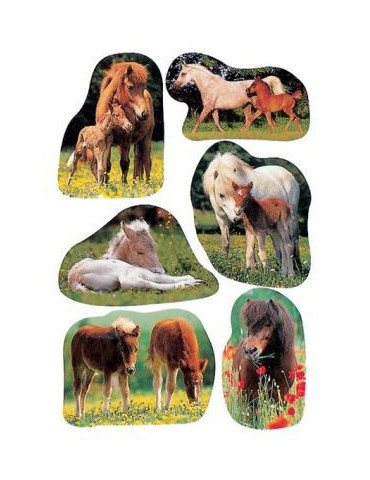 DECOR PHOTOS DE POULAINS