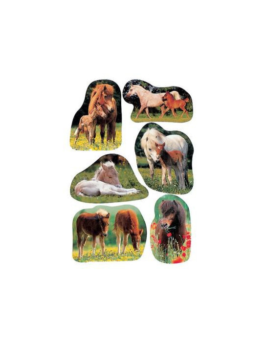 DECOR PHOTOS DE POULAINS