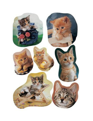 DECOR CHATONS PHOTOGÉNIQUES