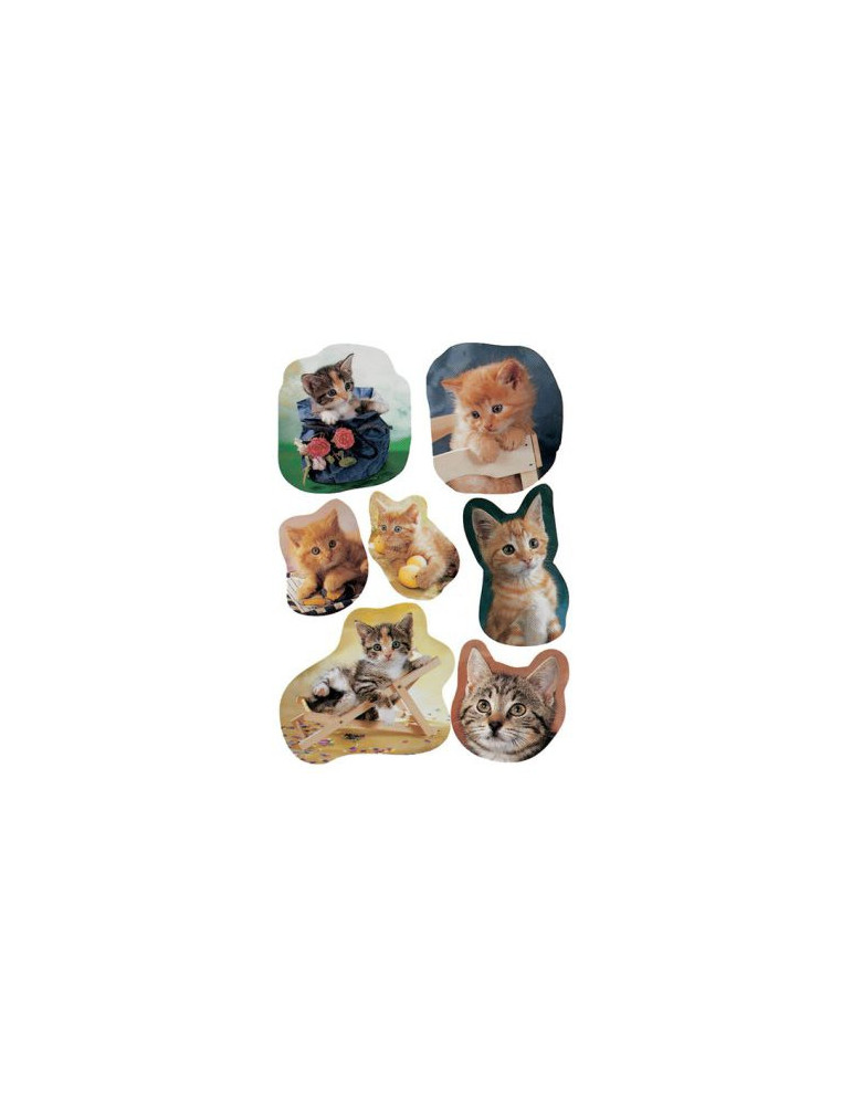 DECOR CHATONS PHOTOGÉNIQUES