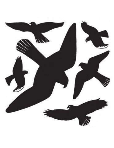 DECO. FENÊTRE OISEAUX NOIRS 30x30