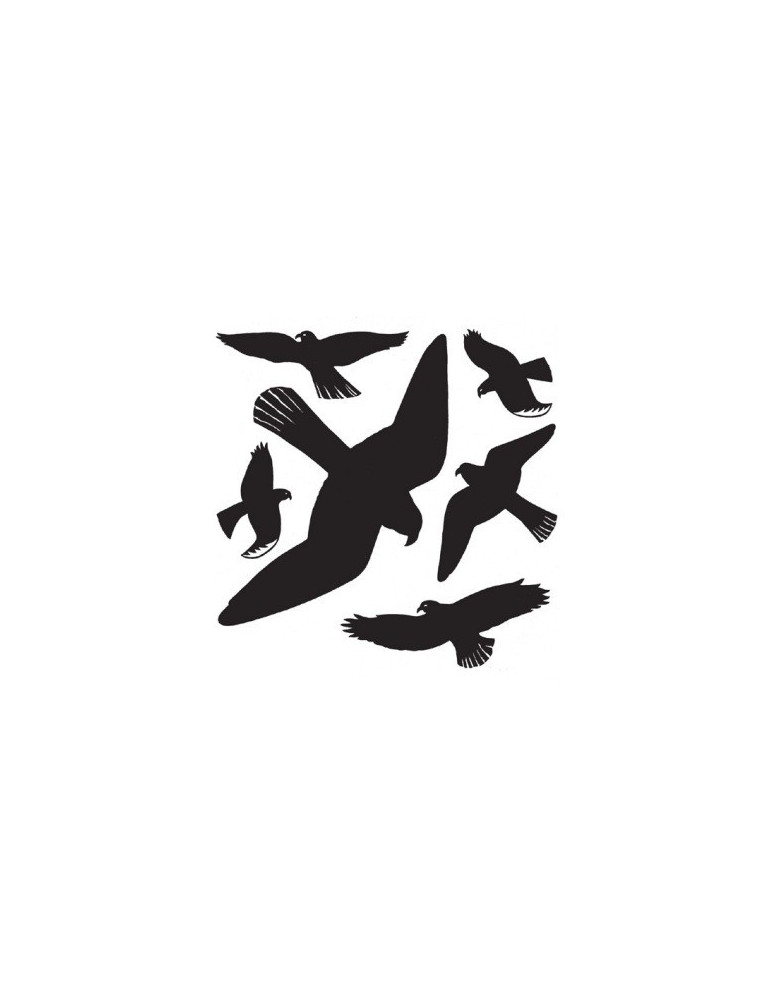 DECO. FENÊTRE OISEAUX NOIRS 30x30