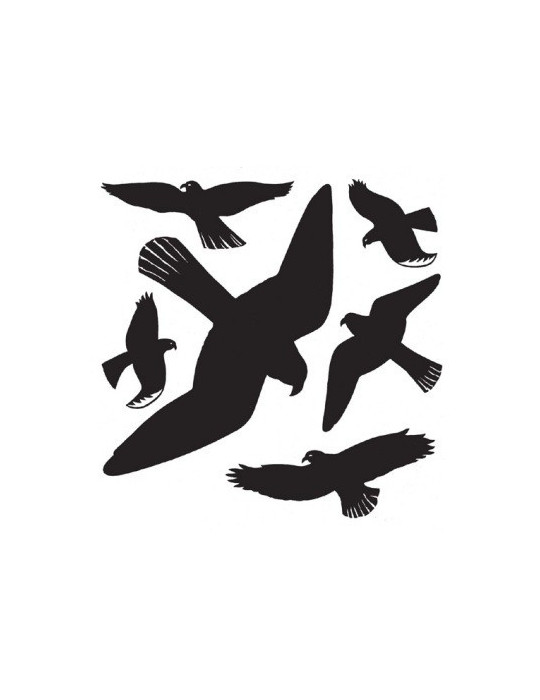 DECO. FENÊTRE OISEAUX NOIRS 30x30