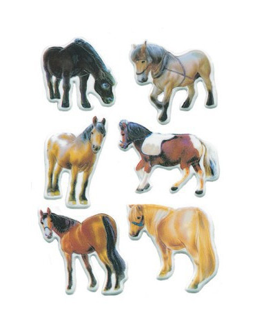 MAGIC*CHEVAUX, EN RELIEF