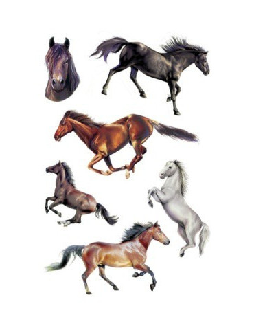 TATOUAGES*ART COULEUR CHEVAUX