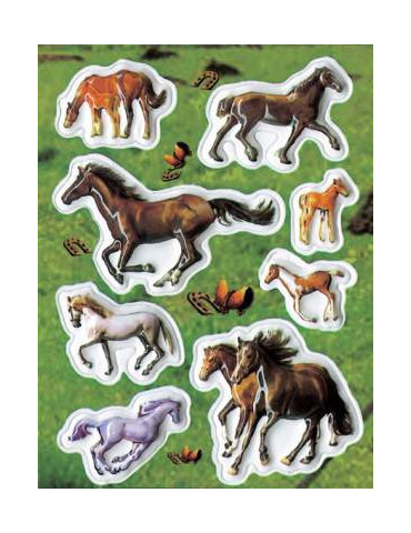 MAGIC*CHEVAUX SAUVAGES, POPUP