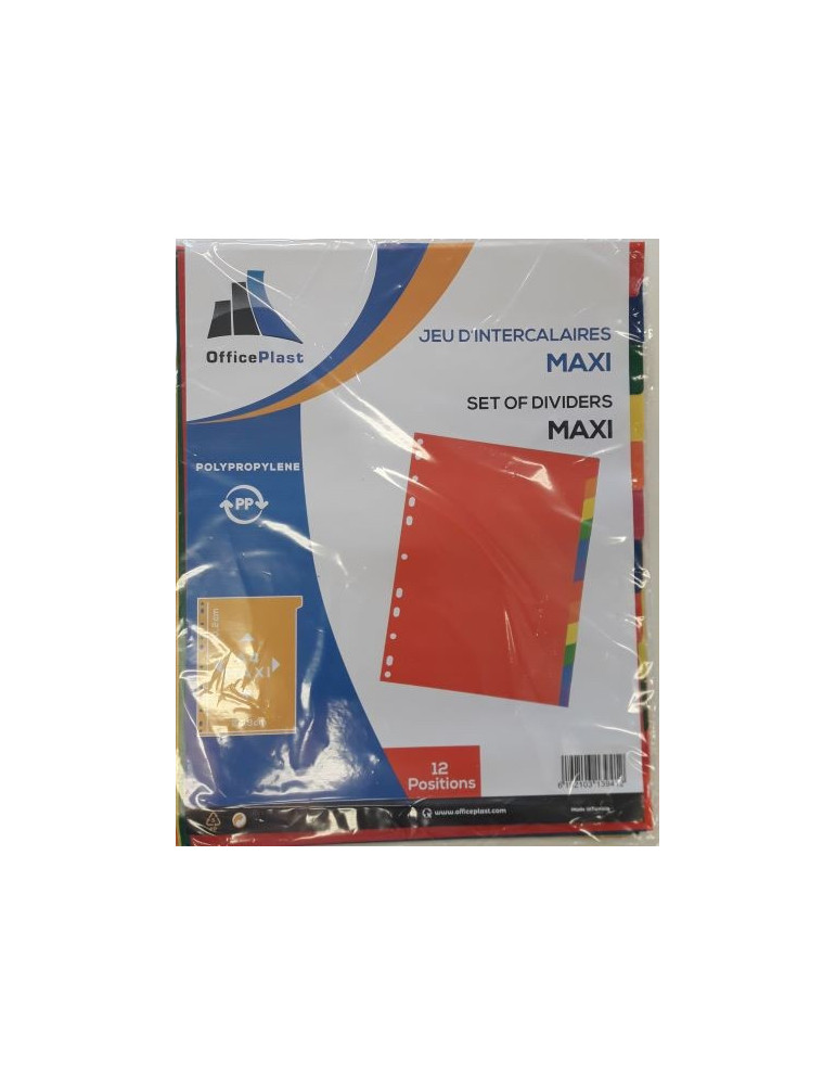 JEUX DE 12 INTERCALAIRES  A4+ EN PP