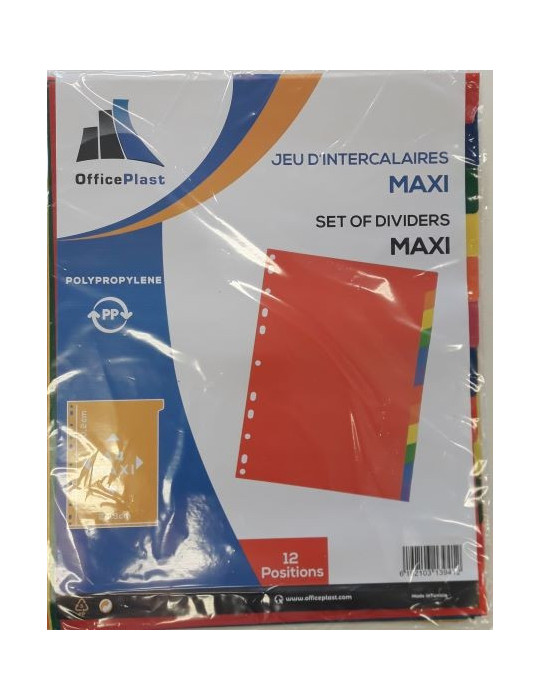 JEUX DE 12 INTERCALAIRES  A4+ EN PP