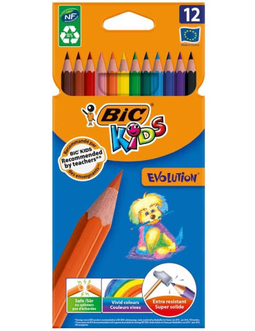 Etui 12 BIC® KIDS Evolution ECOlutions® : assortie
